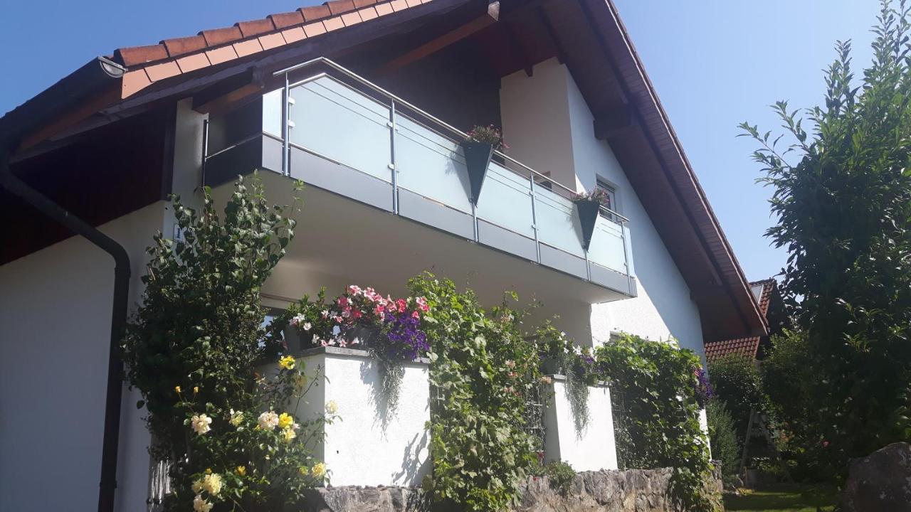 Ferienwohnung Schwarzwaldglueck Löffingen Dış mekan fotoğraf