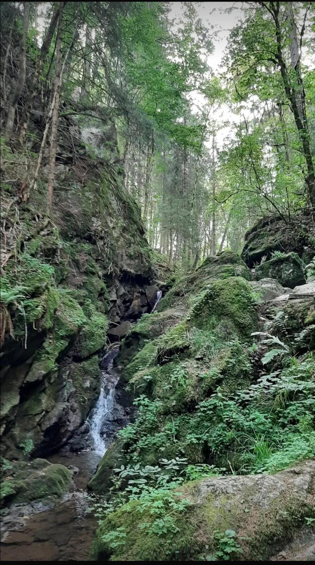 Ferienwohnung Schwarzwaldglueck Löffingen Dış mekan fotoğraf